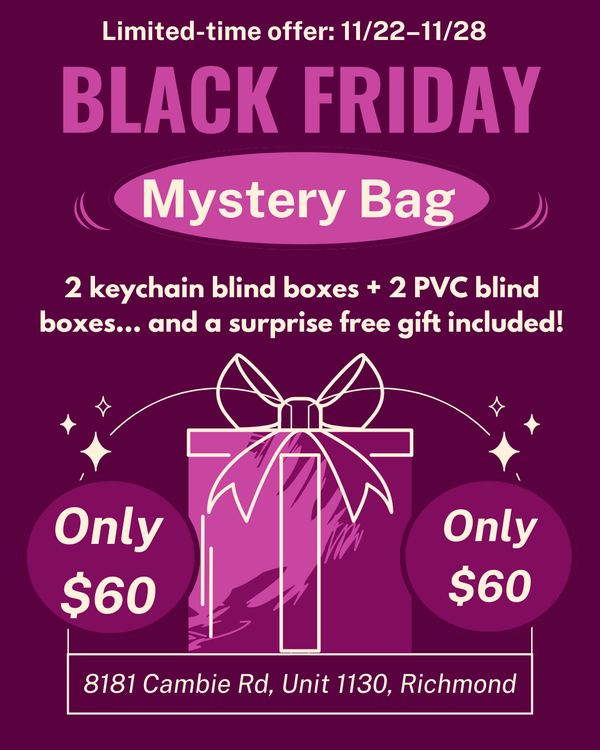 Black Friday Mystery Bag — Limited Edition!